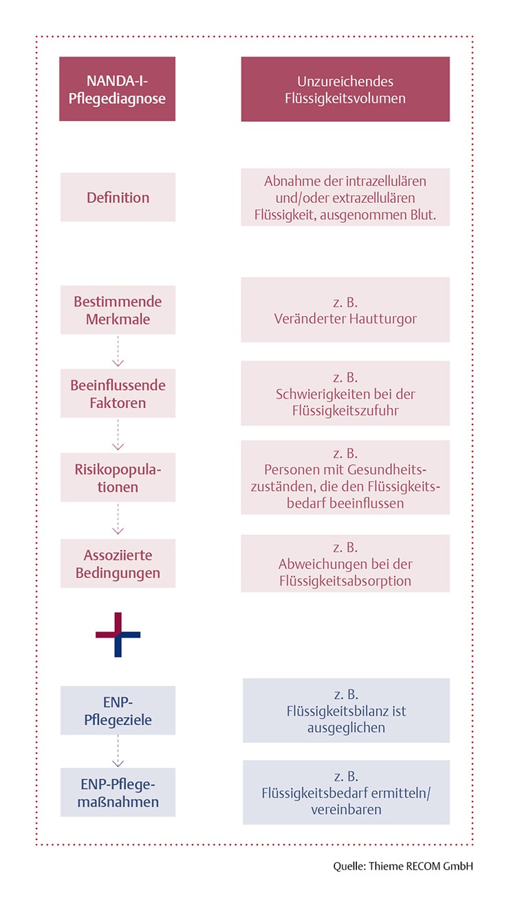 Aufbau von NANDA-I PLUS